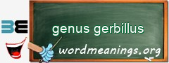 WordMeaning blackboard for genus gerbillus